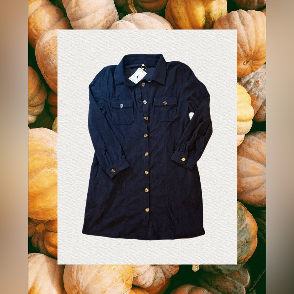 Navy Blue Button-Up Shirt Dress - Alaster Queen, Size XL - Picture 1 of 5